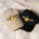 Say it loud and proud 🥰
Sik Teng Mm Sik Gong - now in caps, beanies, and bucket hats