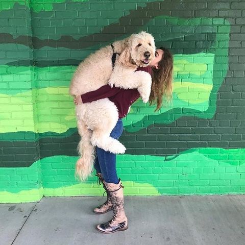 Momma still thinks I'm a puppy 🤔
#goldendoodle #goldendoodles #goldendoodlesofinstagram #goldenretriever #poodle #bedstu #puppy #dog #dogs #dogsofinstgram #animal #animals #animalsofinstagram #cute #boots #nofilter #doodle #doodles #doodlesofinstagram