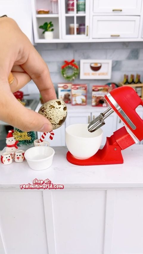 Miniature whisk : cook real mini food | Real Mini World